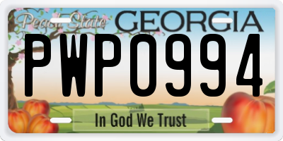 GA license plate PWP0994