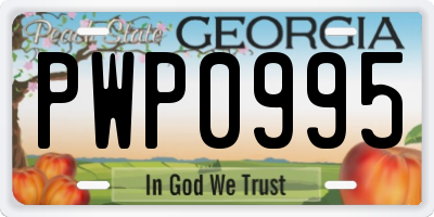 GA license plate PWP0995