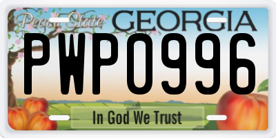 GA license plate PWP0996
