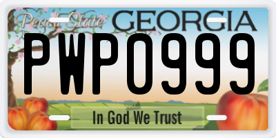 GA license plate PWP0999