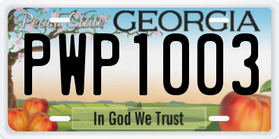 GA license plate PWP1003