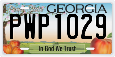 GA license plate PWP1029