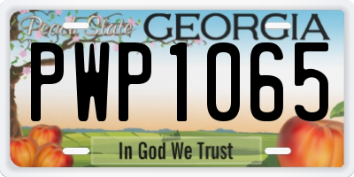 GA license plate PWP1065