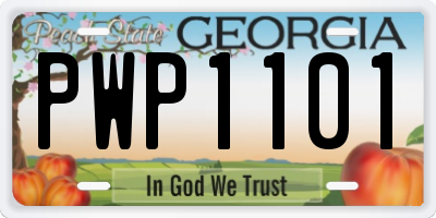 GA license plate PWP1101