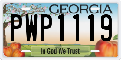 GA license plate PWP1119