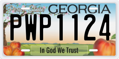 GA license plate PWP1124