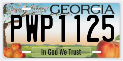 GA license plate PWP1125