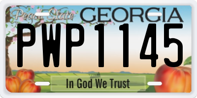 GA license plate PWP1145