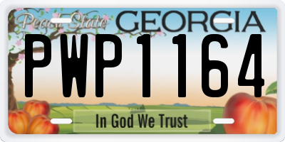 GA license plate PWP1164