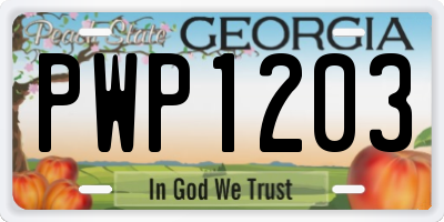 GA license plate PWP1203