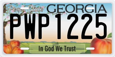 GA license plate PWP1225