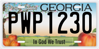 GA license plate PWP1230
