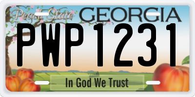 GA license plate PWP1231