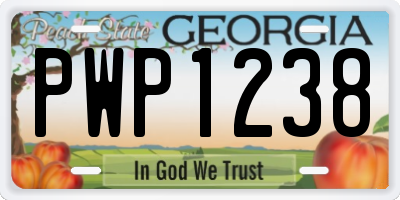 GA license plate PWP1238