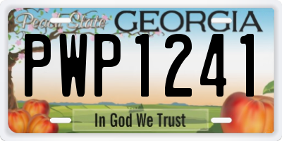 GA license plate PWP1241
