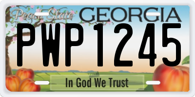 GA license plate PWP1245