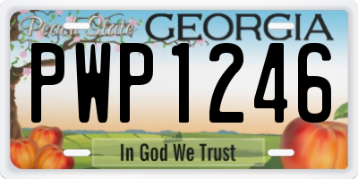 GA license plate PWP1246