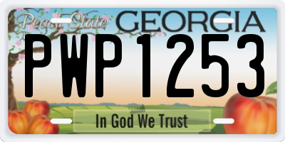 GA license plate PWP1253