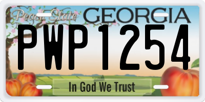 GA license plate PWP1254