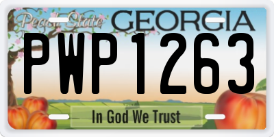 GA license plate PWP1263