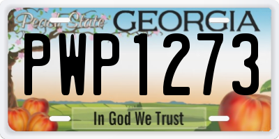 GA license plate PWP1273