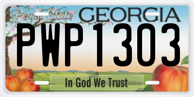GA license plate PWP1303