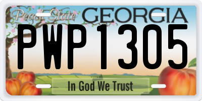 GA license plate PWP1305