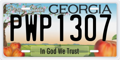 GA license plate PWP1307