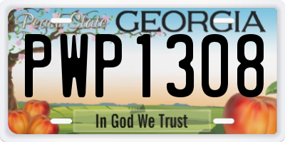 GA license plate PWP1308