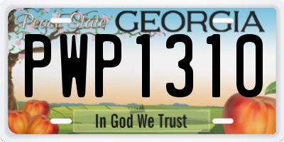 GA license plate PWP1310