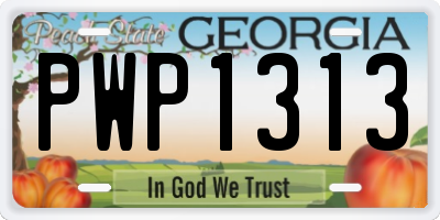 GA license plate PWP1313