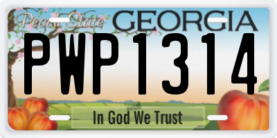 GA license plate PWP1314