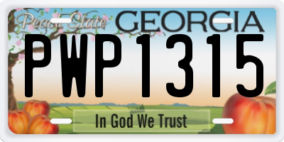 GA license plate PWP1315