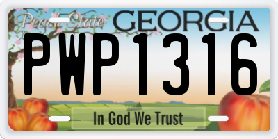 GA license plate PWP1316