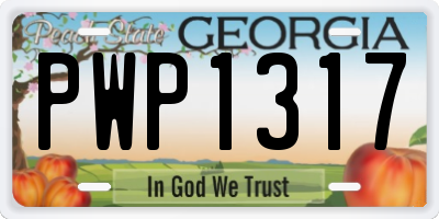GA license plate PWP1317