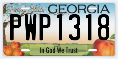 GA license plate PWP1318