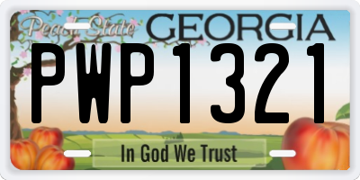 GA license plate PWP1321