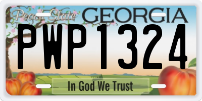 GA license plate PWP1324