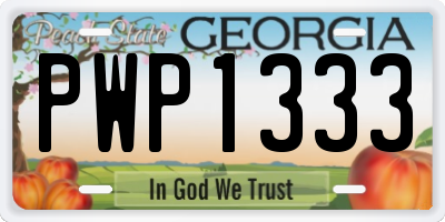 GA license plate PWP1333