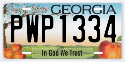GA license plate PWP1334