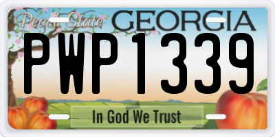 GA license plate PWP1339