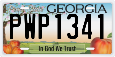 GA license plate PWP1341