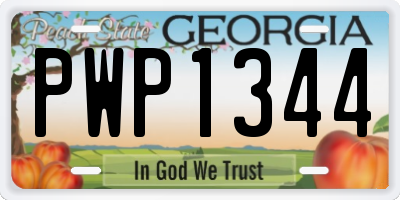 GA license plate PWP1344