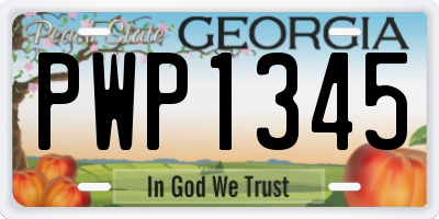 GA license plate PWP1345