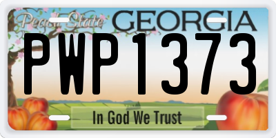 GA license plate PWP1373