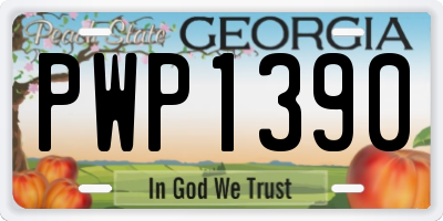 GA license plate PWP1390