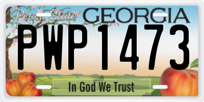 GA license plate PWP1473
