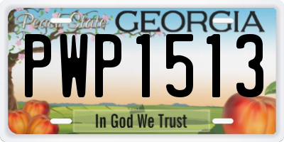 GA license plate PWP1513