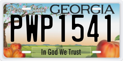 GA license plate PWP1541