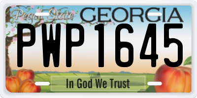 GA license plate PWP1645